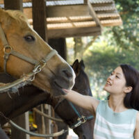 馬房で栗毛の馬の鼻に触れる女性