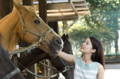 馬房で栗毛の馬の鼻に触れる女性