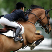 障害を飛越する馬と騎手