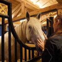 馬房で白馬の顔に触れる女性