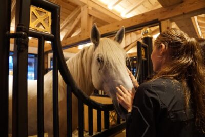 馬房で白馬の顔に触れる女性